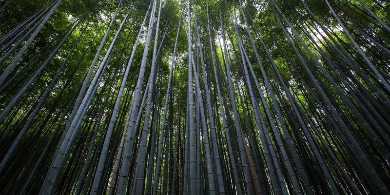 从CMAF到fMP4：多媒体容器格式如何重塑低延迟直播与视频点播体验