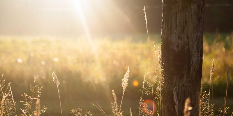 多CDN智能调度策略：瑞奇流等流媒体解决方案如何提升全球可用性与韧性