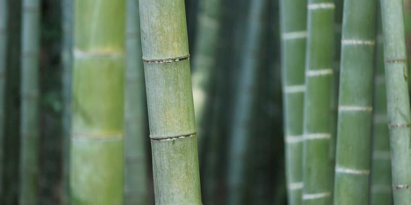 流媒体技术93:重塑现代视频服务的核心解决方案与未来趋势