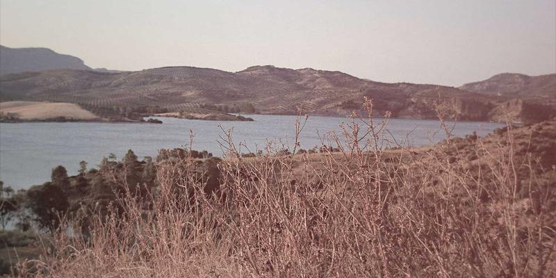 流媒体服务中的故障自动恢复与自愈架构：构建永不掉线的视频体验