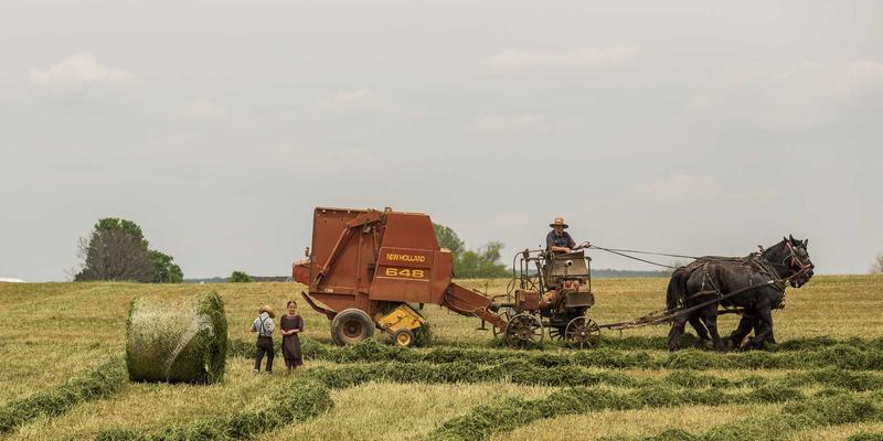 瑞奇流：重塑视频服务的下一代流媒体解决方案