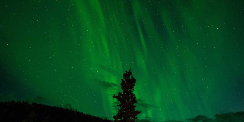 瑞奇流：重塑视频直播体验的下一代流媒体技术