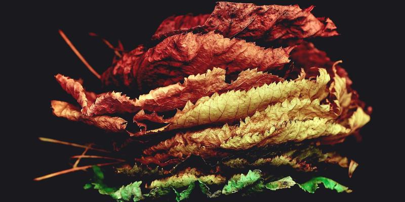 边缘计算如何破解视频点播带宽瓶颈：下一代流媒体解决方案